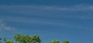 Fort Carson Family Homes Rental Homes in Fort Carson, CO